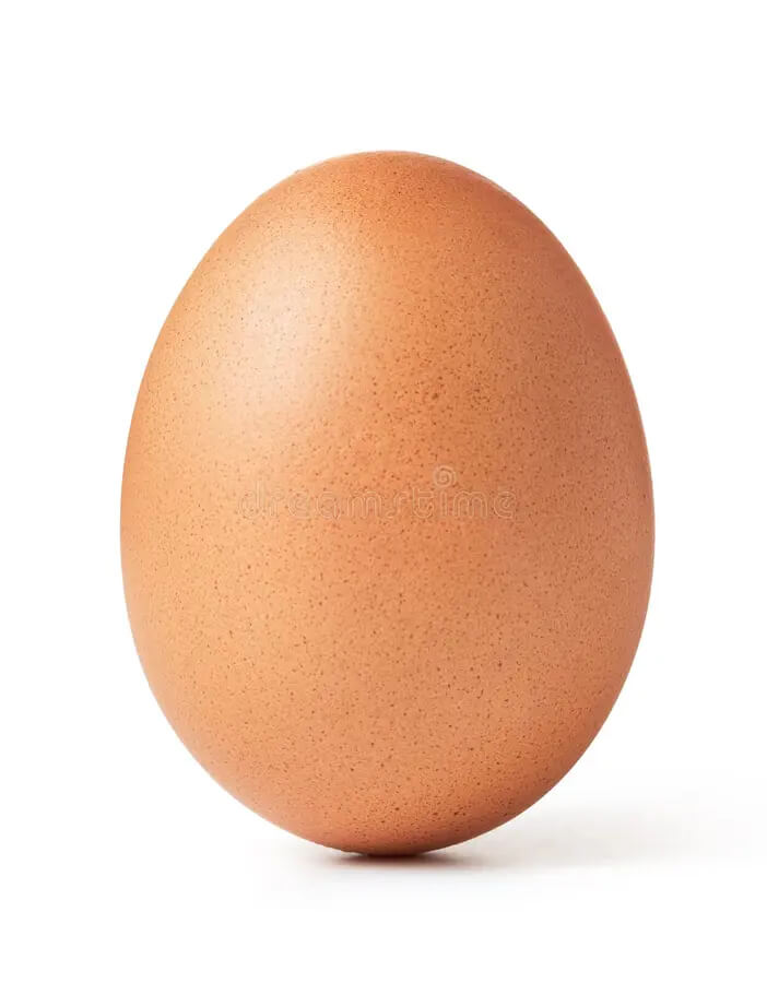 Egg